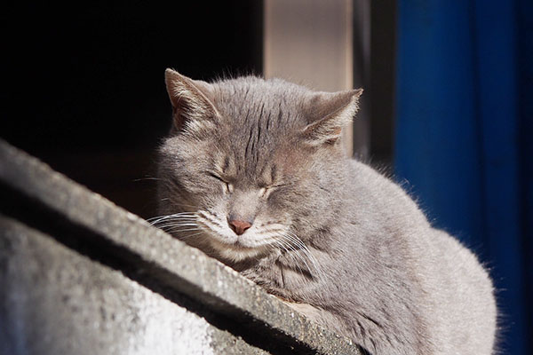 眠さが勝つ　シピ