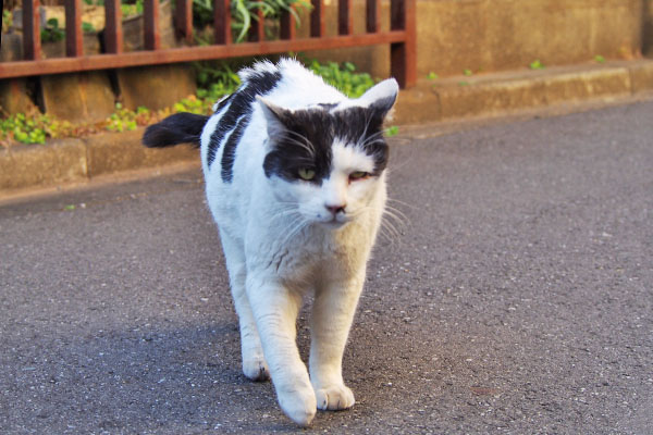 まっすぐ来る　坊