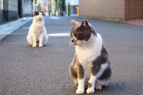 坊を待つちび　ボーっとする坊坊を待つちび　ボーっとする坊