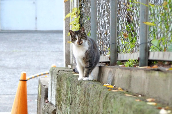 雫　お出迎え