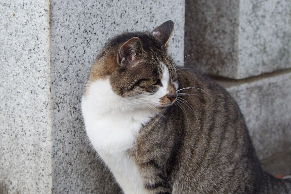 クロテに背を向けた雫