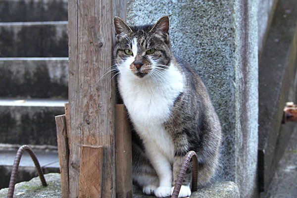 雫　階段脇から見てる