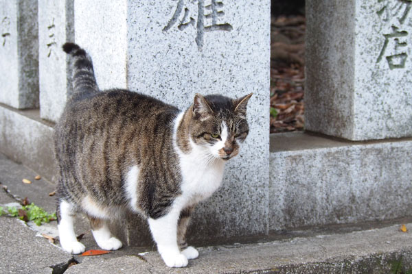 雫　また戻る