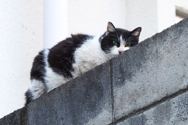 カル　今度はそっちか