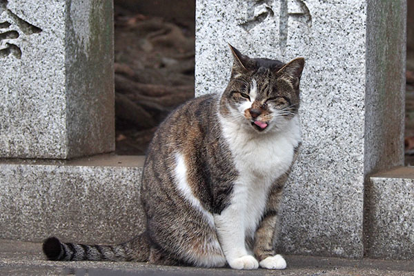 ぺろんする　雫