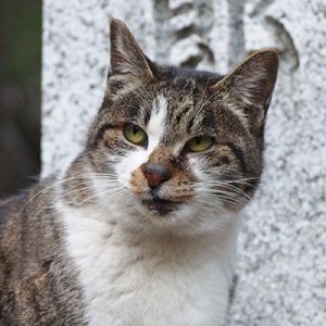 ちろっと横見る 雫
