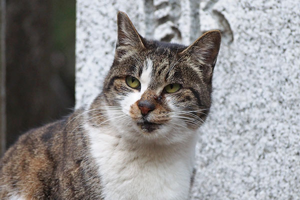 ちろっと横見る　雫