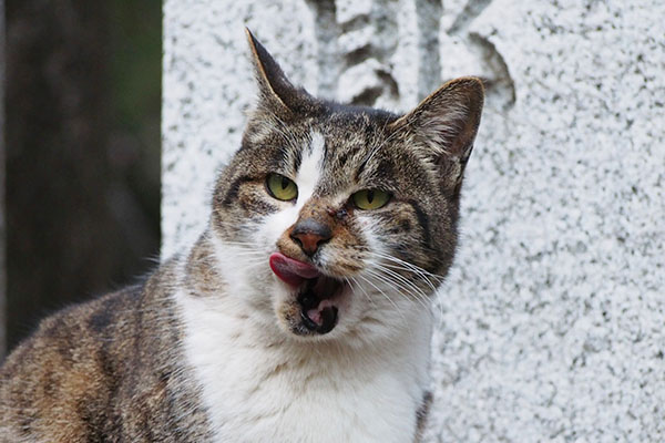 大きくぺろん　雫