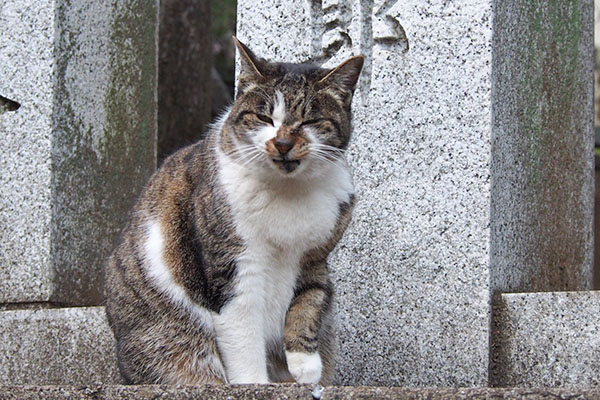 ほえー変顔　雫