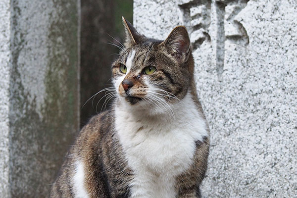 階段の上を見る　雫