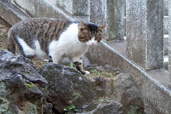 レオ太　雫を確認