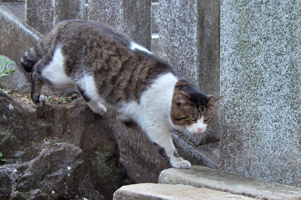 雫をみながら　レオ太