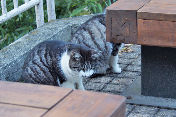 クロムと並んで食べる