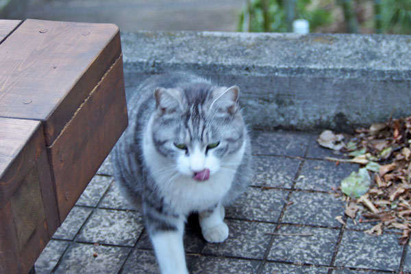 さっきも食べた　クロム