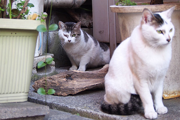 奥からママのケイが出て来た