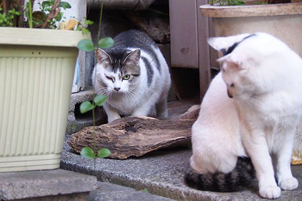 娘に何かしてないでしょーねー　ケイ