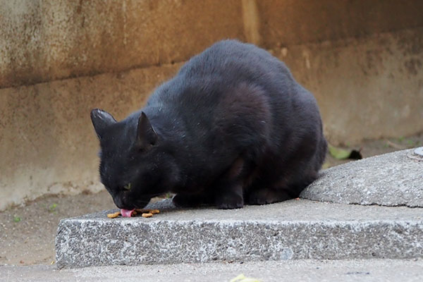 ココ　下で食べる