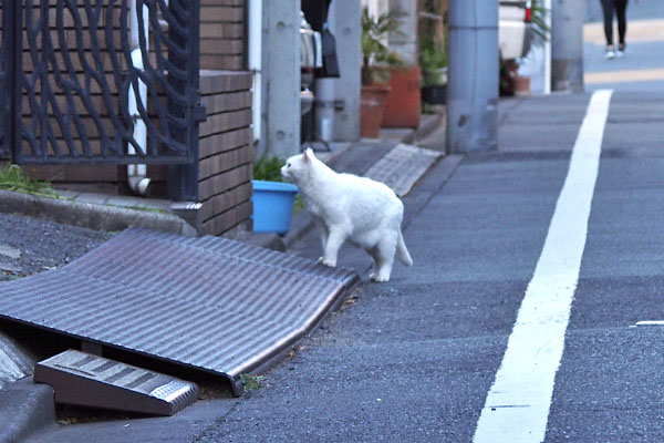 目的の場所に到着　チロル