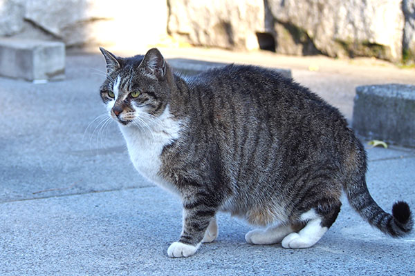 雫　立つ