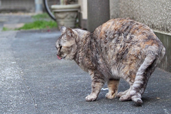 食べた後の銀