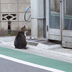 lio sits in front of his house