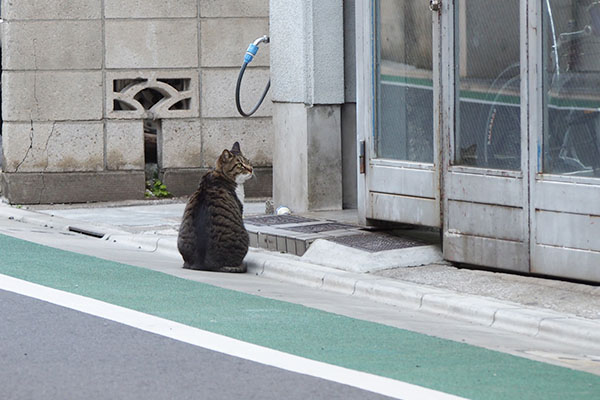 lio sits in front of his house