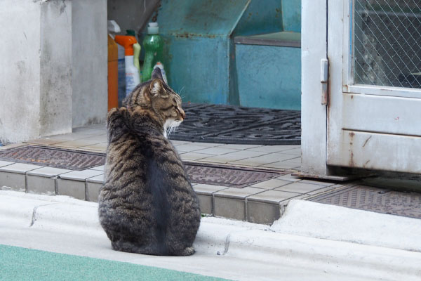 階段を上がらない　リオ