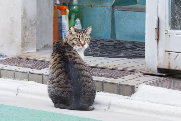 ハッとした目で　リオ