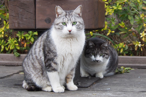 クロムとタンタルのツーショ