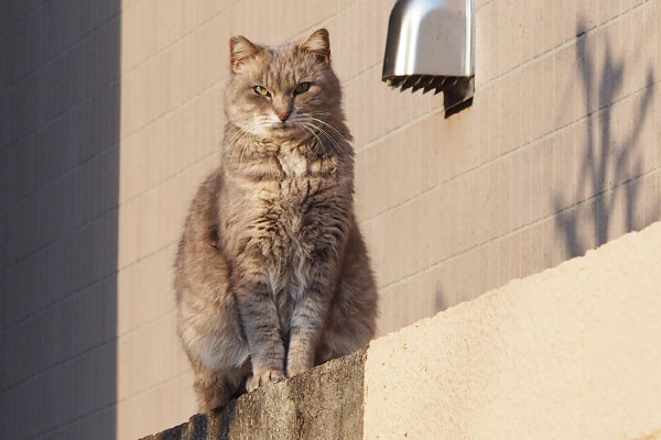 引いて全体を再び　グリ