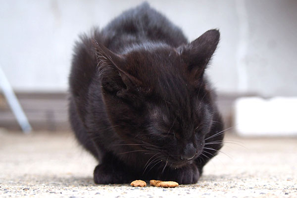 モノ太　食べる２