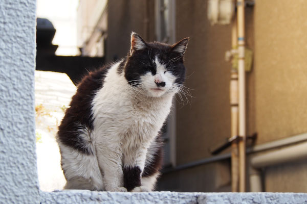 少し明るい　カル