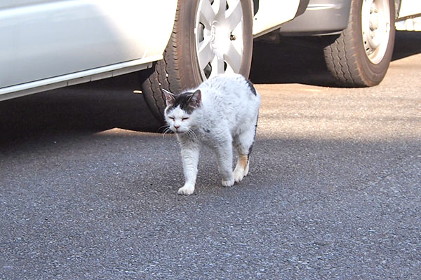 こちらに来る　テン