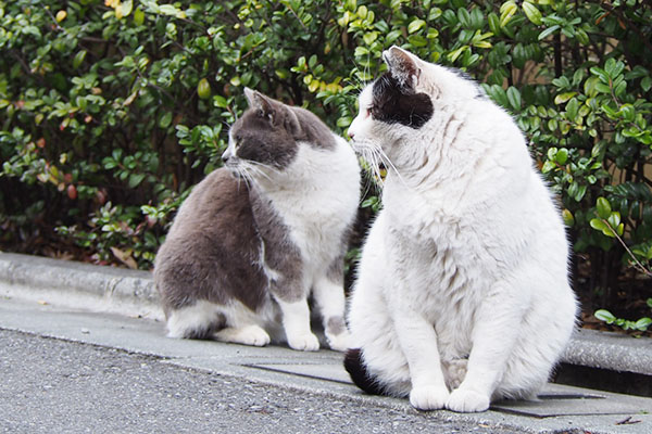 ふたりでロキを見る