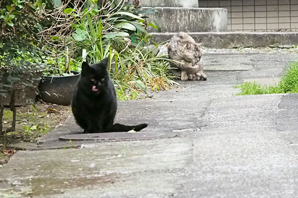 別れ際　どっちもぺろぺろ