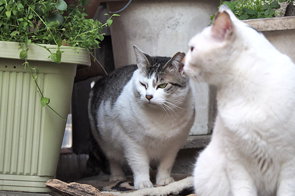 ケイの体がすごい