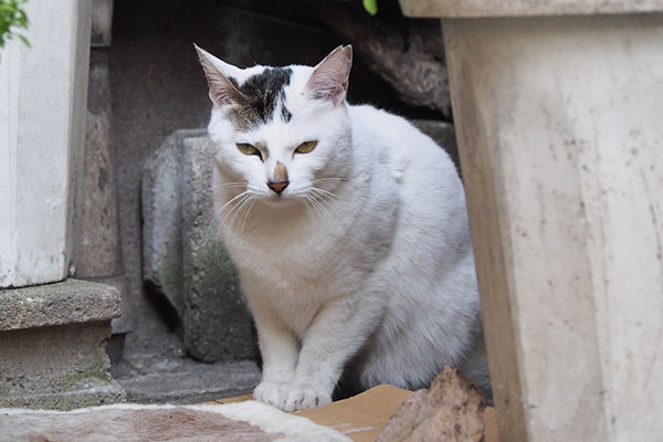 奥へ入ったオーロラ