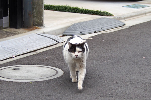 坊　まっすぐ来る