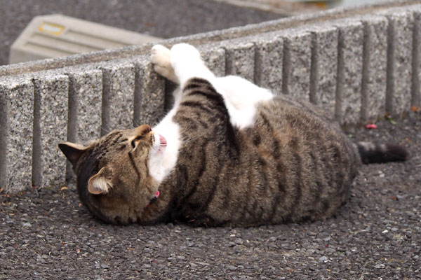 リオ　もがきながら舐める