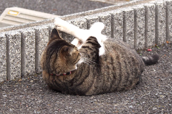 リオ　もがきながら腹筋