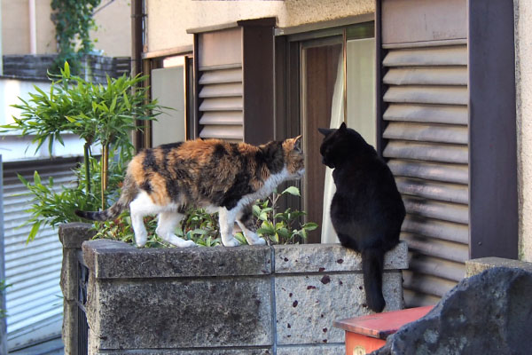 オトワとアズマ