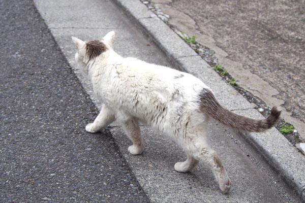 ジュリ　次のお仕事へ