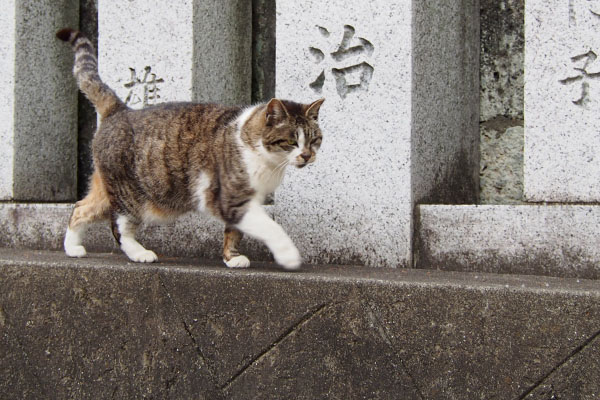 下りて来た雫