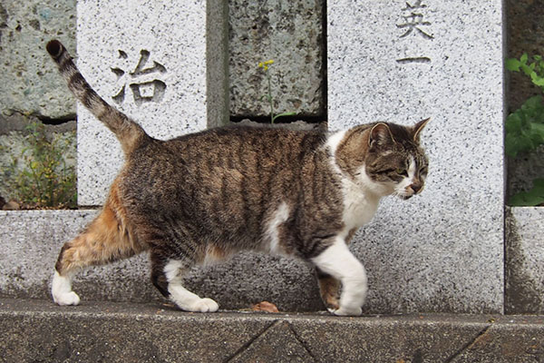 雫　歩く　お手てくにっと