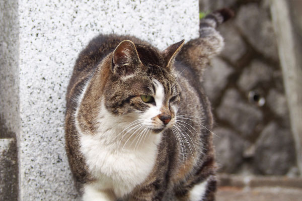 ふいっと横向く　雫