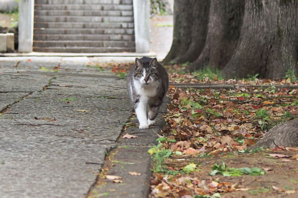 追ってくる　雫　３