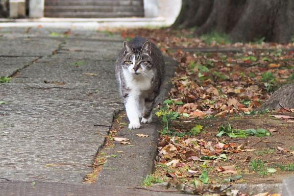 追ってくる　雫　４