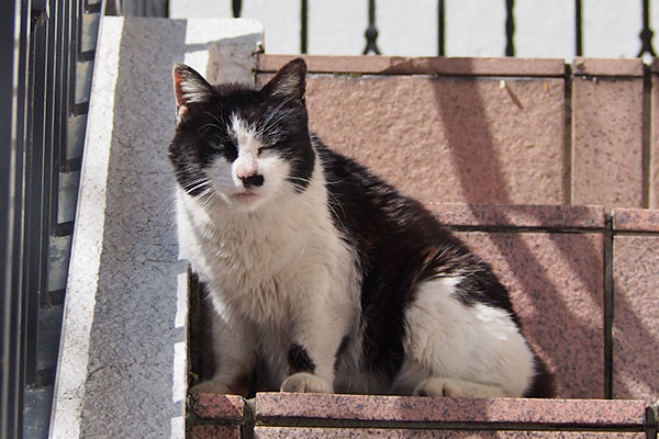 カル　階段に移動