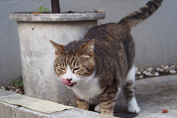 食べて～　サーヤ