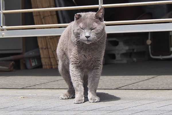 立ち止まる　ロシグレ